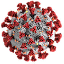 Klick für Corona Virus Info